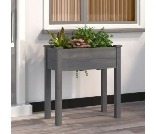 Voodriga Taimelava, Hall, 71 X 37 X 76 cm Nulupuit