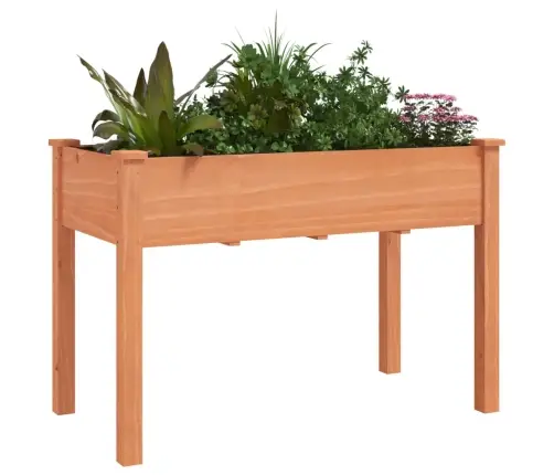 Puķu Kaste Ar Ieliktni, Brūna, 118X59X76 Cm, Egles Masīvkoks Vidaxl