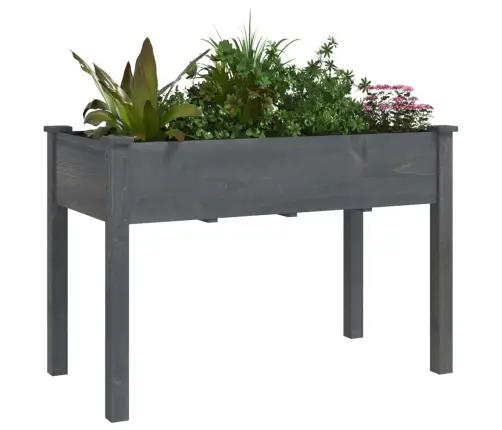 Puķu Kaste Ar Ieliktni, Pelēka, 118X59X76 Cm, Egles Masīvkoks Vidaxl