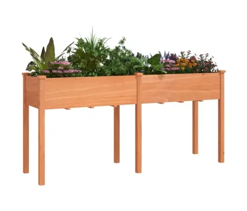 Puķu Kaste Ar Ieliktni, Brūna, 161X45X76 Cm, Egles Masīvkoks Vidaxl