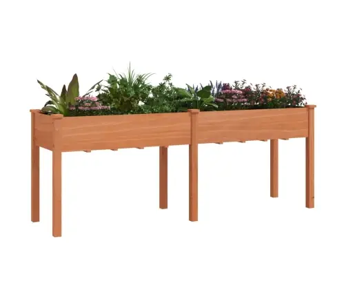 Puķu Kaste Ar Ieliktni, Brūna, 203X53X76 Cm, Egles Masīvkoks Vidaxl
