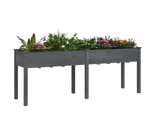 Voodriga Taimelava, Hall, 203 X 53 X 76 cm Nulupuit