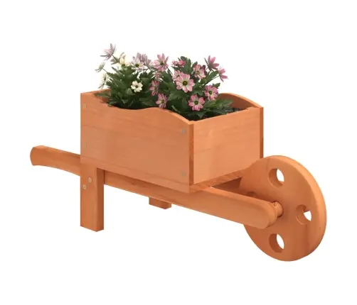 Aia Taimekärud, 47 X 15 X 19 cm Nulupuit