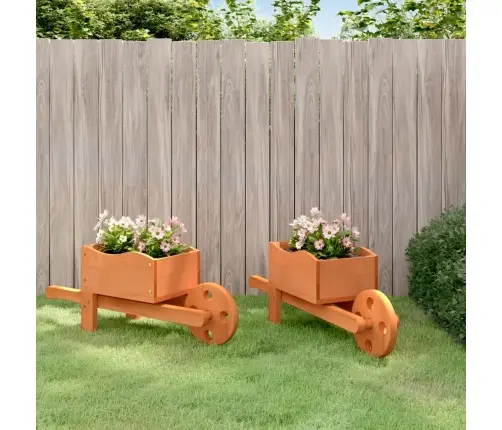 Aia Taimekärud, 47 X 15 X 19 cm Nulupuit