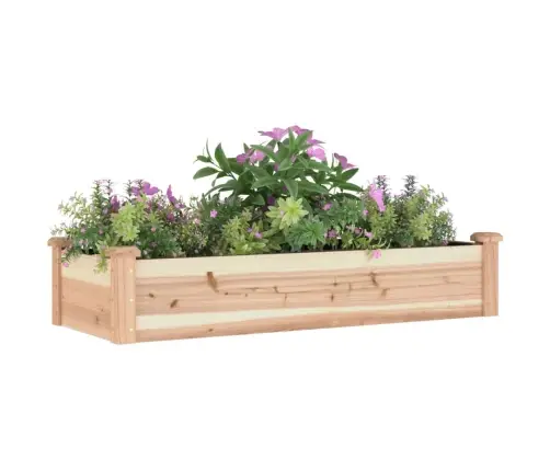 Aukštas Sodo Lovelis Su Įdėklu, 120X45X25cm Eglės Masyvas