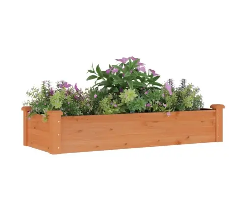 Augstā Puķu Kaste Ar Ieliktni, 120X45X25 Cm, Egles Masīvkoks Vidaxl