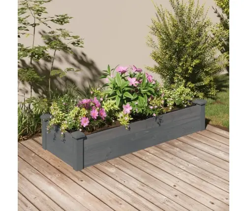 Augstā Puķu Kaste Ar Ieliktni, 120X45X25 Cm, Egles Masīvkoks Vidaxl