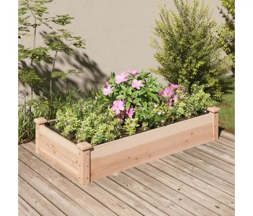 Voodriga Aia Taimelava, 120 X 60 X 25 cm Nulupuit