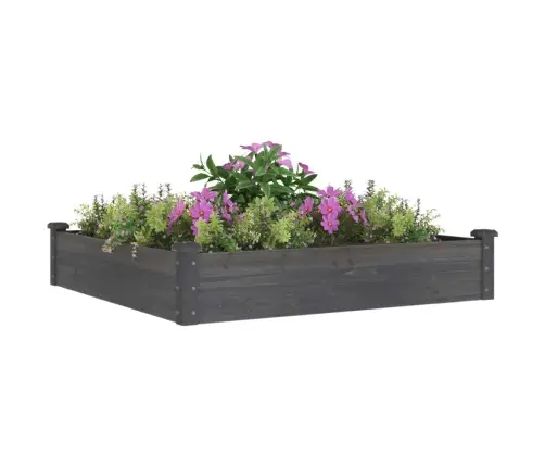 Augstā Puķu Kaste Ar Ieliktni, 120X120X25 Cm, Egles Masīvkoks Vidaxl