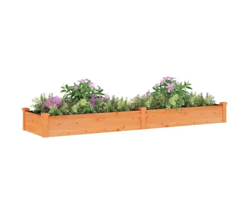 Augstā Puķu Kaste Ar Ieliktni, 240X60X25 Cm, Egles Masīvkoks Vidaxl