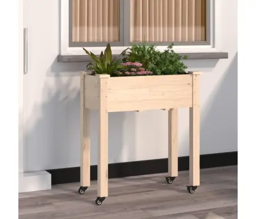 Puķu Kaste Ar Ieliktni, 71X37X80 Cm, Egles Masīvkoks Vidaxl