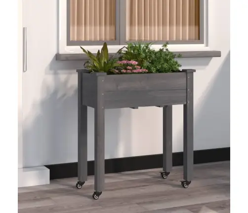 Puķu Kaste Ar Ieliktni, Pelēka, 71X37X80 Cm, Egles Masīvkoks Vidaxl