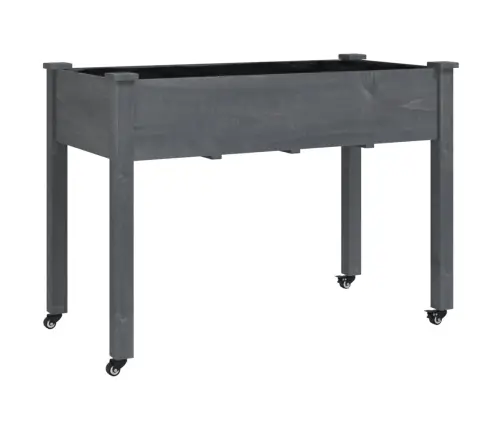 Puķu Kaste Ar Ieliktni, 118X59X80 Cm, Egles Masīvkoks Vidaxl