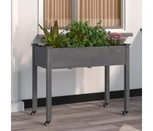 Puķu Kaste Ar Ieliktni, 118X59X80 Cm, Egles Masīvkoks Vidaxl