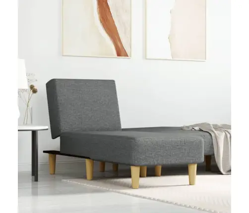 Atpūtas Zvilnis, Tumši Pelēks Audums Vidaxl