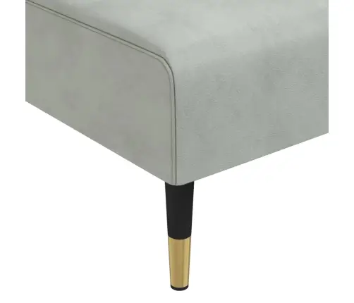 Atpūtas Zvilnis, Gaiši Pelēks Samts Vidaxl