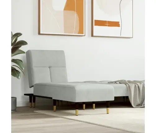 Atpūtas Zvilnis, Gaiši Pelēks Samts Vidaxl