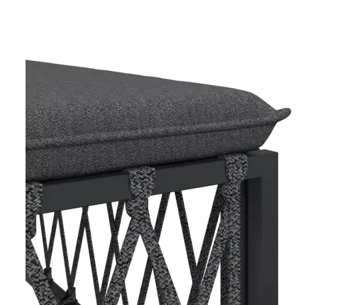 2-Daļīgs Dārza Atpūtas Mēbeļu Komplekts Ar Matračiem, Tērauds Vidaxl