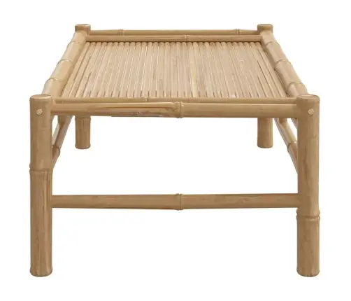 Dārza Kafijas Galdiņš, 100X55X33 Cm, Bambuss Vidaxl