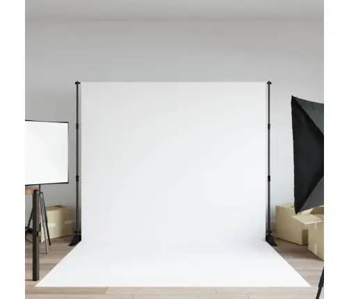 Fona Statīvs, Melns, 254X243 Cm, Tērauds Vidaxl