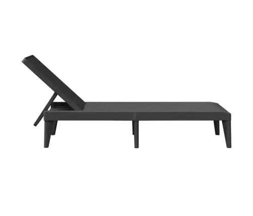 Sauļošanās Zvilnis, 186X60X29 Cm, Antracītpelēks, Pp Vidaxl Sauļošanās Zvilnis, 186X60X29 Cm, Antracītpelēks, Pp Vidaxl