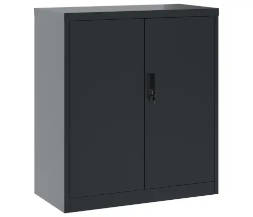 Spintelė Dokumentams, Antracito Spalvos, 79X40X90cm Plienas