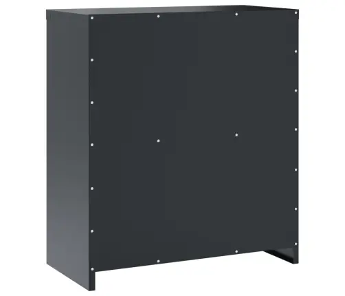 Spintelė Dokumentams, Antracito Spalvos, 79X40X90cm Plienas