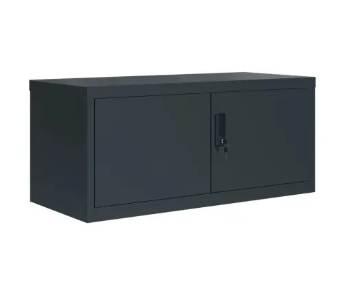 Spintelė Dokumentams, Antracito Spalvos, 90X40X110cm Plienas