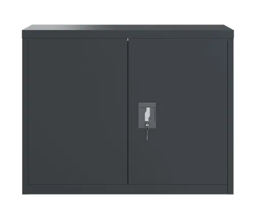 Spintelė Dokumentams, Antracito Spalvos, 90X40X110cm Plienas