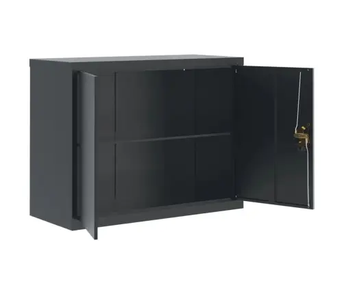 Spintelė Dokumentams, Antracito Spalvos, 90X40X110cm Plienas