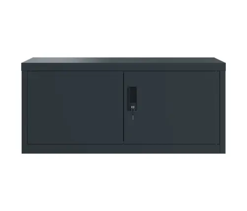 Dokumendikapp, Antratsiithall, 90X40X145 cm Teras