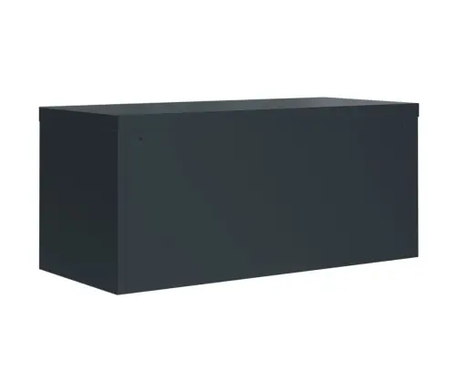 Dokumendikapp, Antratsiithall, 90X40X145 cm Teras