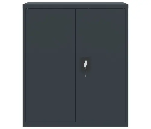 Dokumendikapp, Antratsiithall, 90X40X145 cm Teras