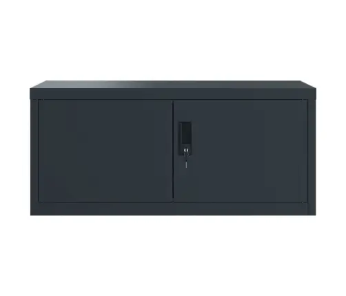 Dokumendikapp, Antratsiithall, 90 X 40 X 220 cm Teras