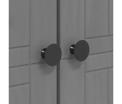 Riidekapp Bodo, Hall, 99X53,5X173 cm Männipuit Riidekapp Bodo, Hall, 99X53,5X173 cm Männipuit