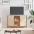 Tv Plaukts, 100X35X65 Cm, Inženierijas Koks, Ozolkoka Krāsa Vidaxl