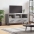 Tv Skapītis, Pelēka Ozolkoka, 102X36X50 Cm, Inženierijas Koks Vidaxl