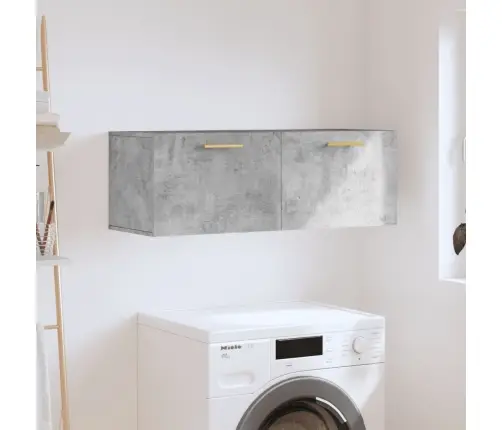 Sienas Skapītis, Pelēks, 100X36,5X35 Cm, Inženierijas Koks Vidaxl