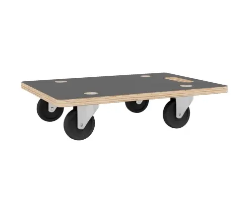 Transpordikärud 2 Tk, Ristküliku Kuju, 50X35X11,5 Cm 250 Kg