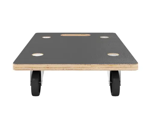 Transpordikärud 2 Tk, Ristküliku Kuju, 50X35X11,5 Cm 250 Kg