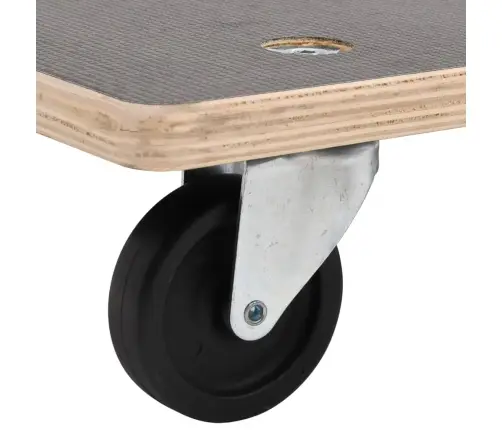 Transpordikärud 2 Tk, Ristküliku Kuju, 50X35X11,5 Cm 250 Kg