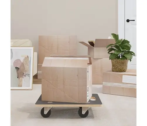 Transpordikärud 2 Tk, Ristküliku Kuju, 50X35X11,5 Cm 250 Kg