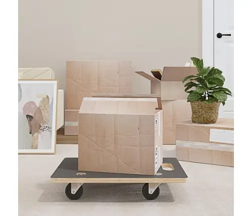 Transportēšanas Ratiņi, 2 Gab., Taisnstūra Forma, 60X40X11,5 Cm Vidaxl