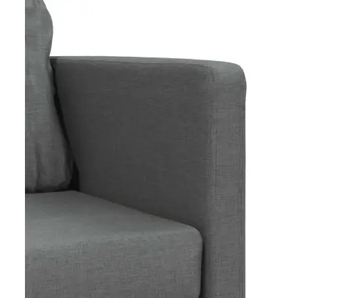 Grindų Sofa-Lova, 2-1, Tamsiai Pilka, 112X174X55cm Audinys