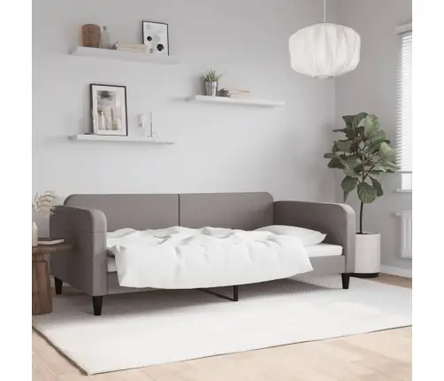 Sofa, Taupe Spalvos, 100X200cm Audinys