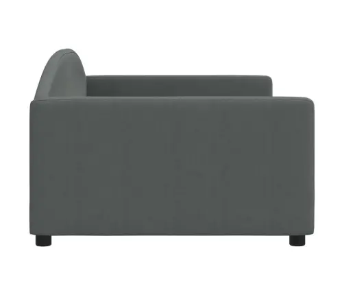 Sofa, Tamsiai Pilkos Spalvos, 100X200cm Audinys