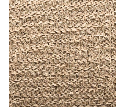 Paklājs Zizur, 160X230Cm Džutas Izskats Lietojams Telpās Un Ārā Vidaxl
