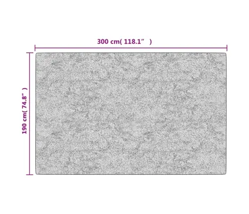 Paklājs, 190X300 Cm, Daudzkrāsains, Mazgājams, Neslīdošs Vidaxl