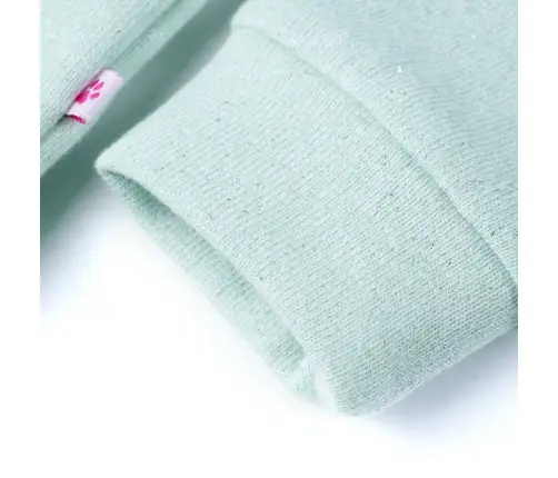 Vaikiškas Sportinis Megztinis Su Gobtuvu Ir Užtrauktuku, Mėtinis