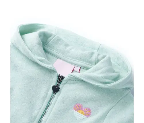 Vaikiškas Sportinis Megztinis Su Gobtuvu Ir Užtrauktuku, Mėtinis